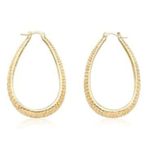 Textured Oval Hooplets Earrings